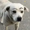Marcel Herrera - @marcel.herrera3 - TikTok