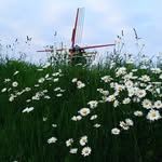 Marcel Photo Zeeland - @marcel_hobbyfotograaf - Instagram