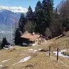Marcel Hug - @marcel.hug4 - TikTok