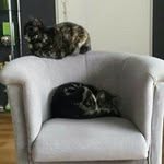Marcel Janssen - @marcel.janssen.98892 - Instagram