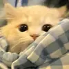user571180572847 - @marcelkanexsa7la - TikTok