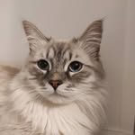 Marcel - @marcelkim_oj - Instagram