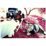 Timothy King - @marcelkingston9912 - Instagram