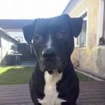 marcel knapp - @polog402010 - Instagram