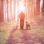 Marcel Koch - @ma.ko.75 - Instagram
