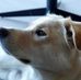 Marcel Korver - Facebook
