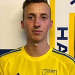 Marcel Krause - @tulpeduplone - Instagram