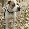 Marcel Krause - @marcel.krause - TikTok