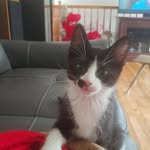 Marcel Labonté - @marcel.labonte.77 - Instagram