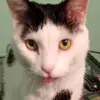marcellelabonte - @marcellelabonte - TikTok