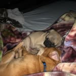 Marcel Labrie - @bouettequebec07 - Instagram