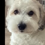 Marcel Labrie - @marcellabrie9 - Instagram