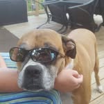 Marcel Lamarre - @lamarre.marcel - Instagram