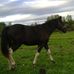 Marcel Langlais - Facebook