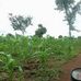 Marcel Lafia - Facebook