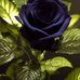 Marcel Love - Facebook