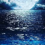 Marcel Lucas - @marcellucas78 - Instagram
