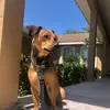 Marcell Luna - @marcell.luna - TikTok