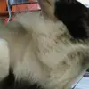 marcl - @marcelmannn - TikTok