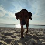 Marcel Marks - Facebook