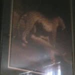 @marcel_marshall128 - Instagram