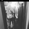 Marcel Marshall - @marcelmarshall0 - TikTok