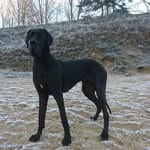 marcel_mary - @marcel_mary6370 - Instagram