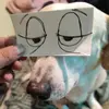 chelo - @marcelmauss - TikTok