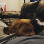 Anthony Pitts-McCoy - @the_real_marcel_mccoy - Instagram