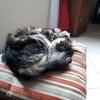 marcelmenard231 - @marcelmenard231 - TikTok