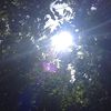 Marcel Montes  - @its.ya.boy.basiclly - TikTok