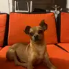 marcelmorales19 - @marcelmorales19 - TikTok