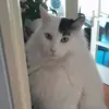 MarcelMorales - @marcel._.morales - TikTok