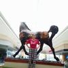 Marcela Moran mamita a los 12 - @marcela.moran.mam - TikTok