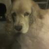 marcelomorton - @marcelomorton - TikTok