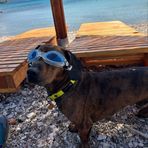 Marcel Moss - Facebook