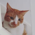 Marcel Moss - @moss_marcel - Instagram