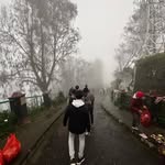 Marcel Nicholas - @marcellino03_nicholas - Instagram