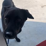 Marcel Noel Isaac - @marcelnoelisaac - Instagram