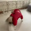 marcelnorman48811 - @marcelnorman48811 - TikTok