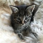 mauro_norman.73 - @marcel_norman_ - Instagram