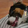 marcelloolsen - @marcelloolsen - TikTok