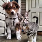 @marcelpage562 - Instagram