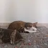 Marcel Paul - @marcel.paul40 - TikTok