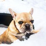 Mr Marcel Pearson - @mr_marcelpearson - Instagram