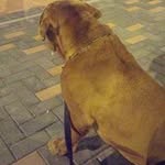 Miguel Marcel Peñafiel Burbano - @marcelpenafiel - Instagram