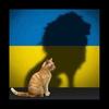 Minou - @marcelpepin0 - TikTok