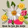 Marcel pineda - @marcel.pineda7 - TikTok