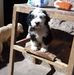 Marcel Rodriguez Ramos - Facebook