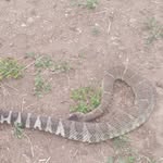 Marcel Sandoval - @marcelsandoval15 - Instagram